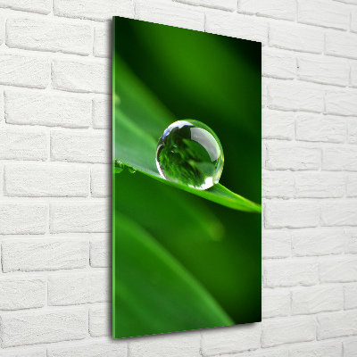 Acrylic wall art Blade of grass