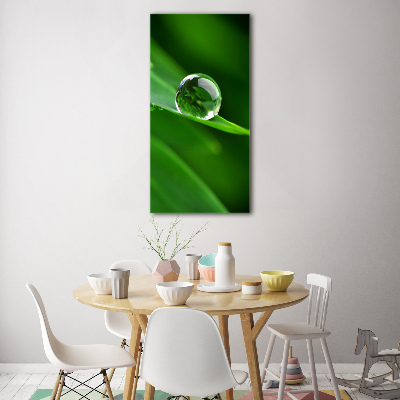 Acrylic wall art Blade of grass