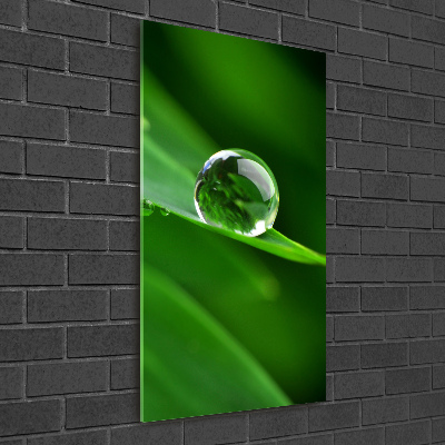 Acrylic wall art Blade of grass