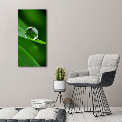 Acrylic wall art Blade of grass