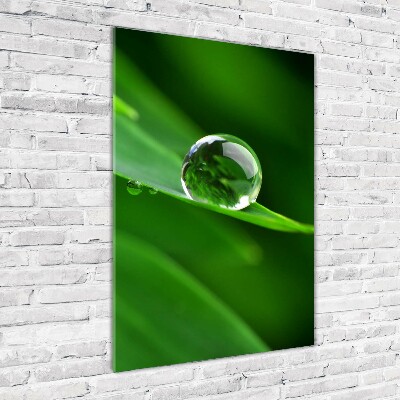 Acrylic wall art Blade of grass