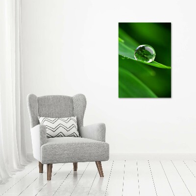 Acrylic wall art Blade of grass