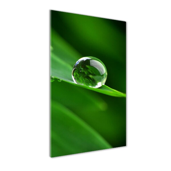 Acrylic wall art Blade of grass