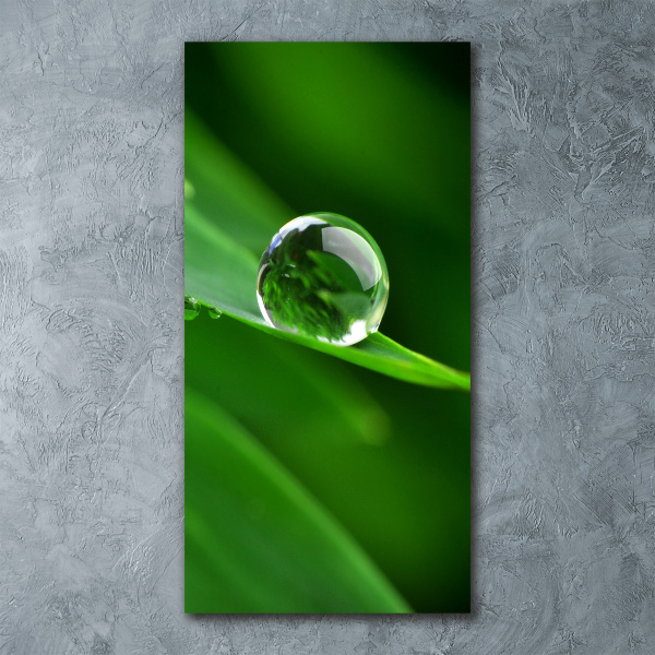 Acrylic wall art Blade of grass