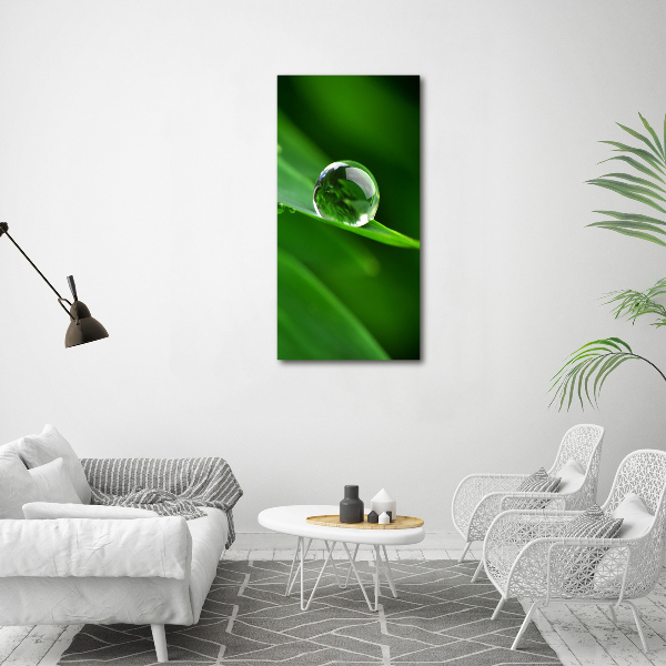 Acrylic wall art Blade of grass