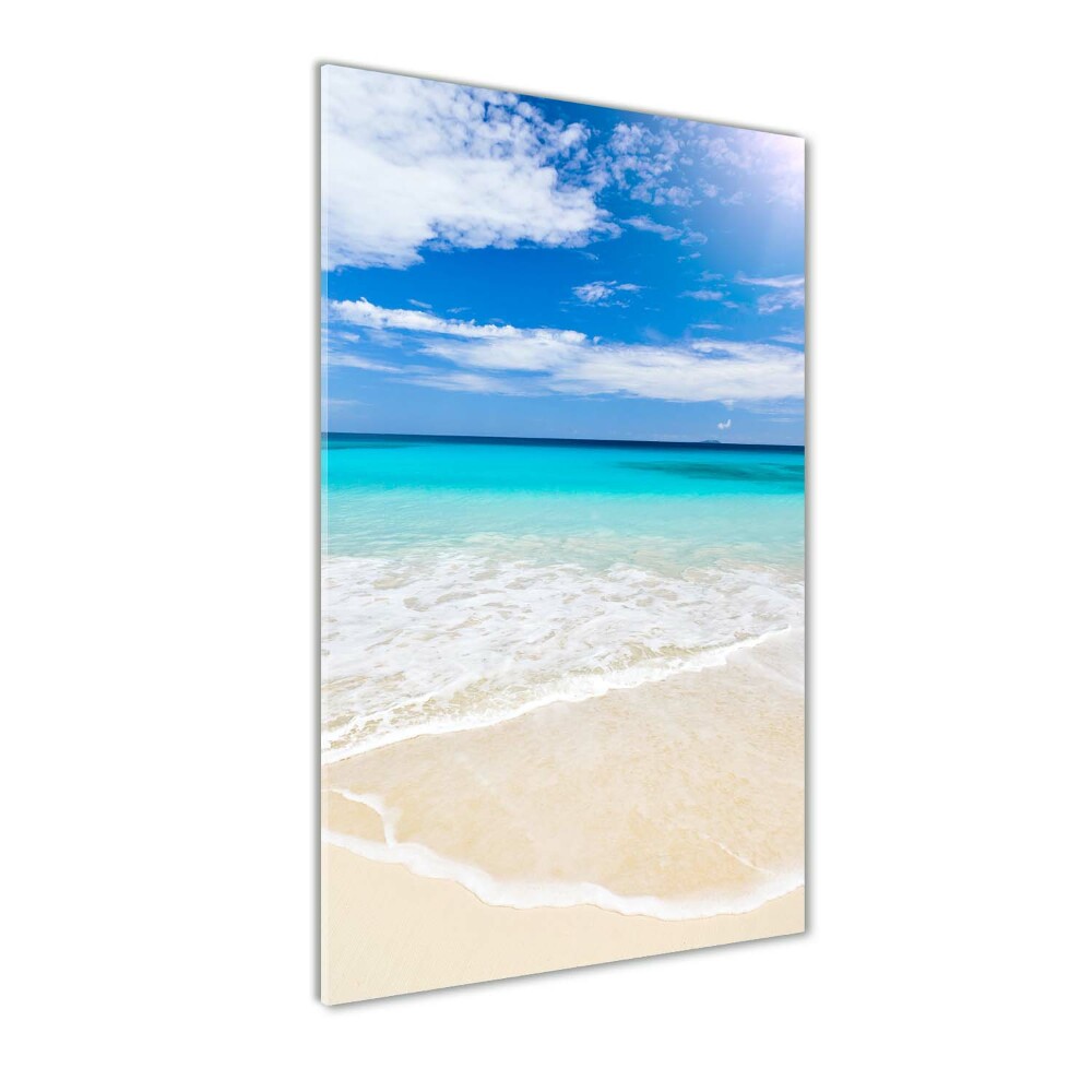 Acrylic print Tropical beach