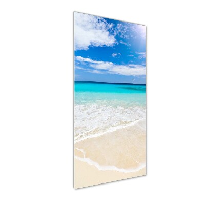 Acrylic print Tropical beach