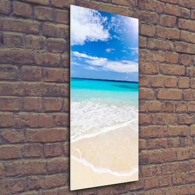 Acrylic print Tropical beach