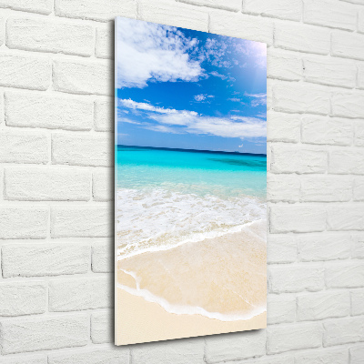 Acrylic print Tropical beach