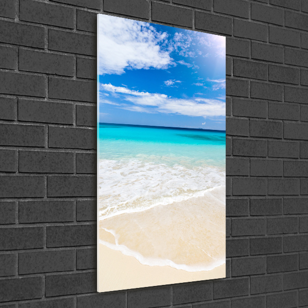 Acrylic print Tropical beach