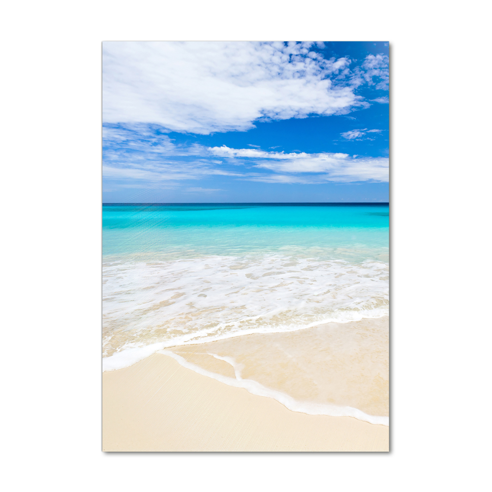 Acrylic print Tropical beach