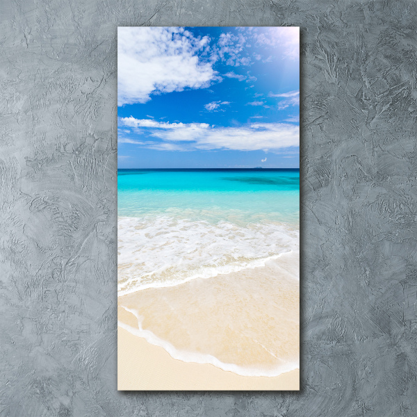 Acrylic print Tropical beach