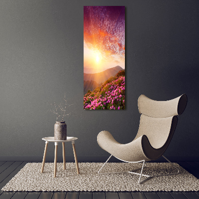 Acrylic print Spring in the mountains