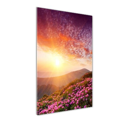 Acrylic print Spring in the mountains