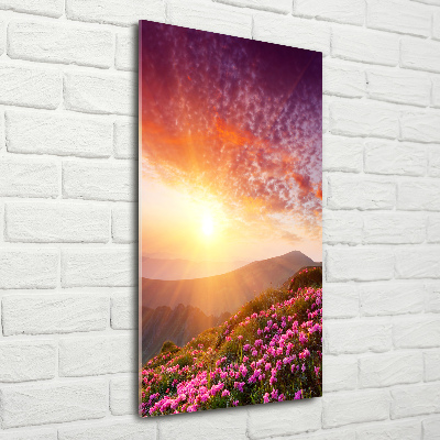 Acrylic print Spring in the mountains