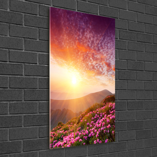 Acrylic print Spring in the mountains