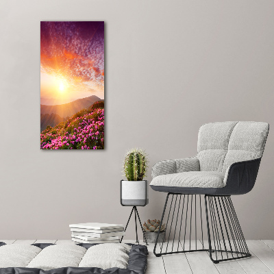 Acrylic print Spring in the mountains