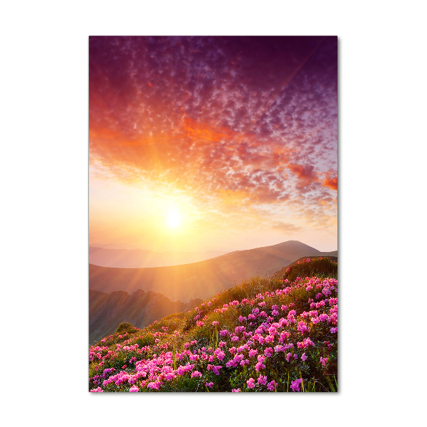 Acrylic print Spring in the mountains