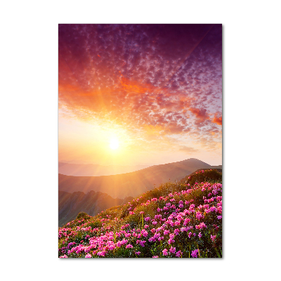 Acrylic print Spring in the mountains