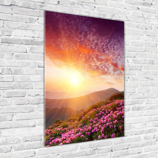 Acrylic print Spring in the mountains