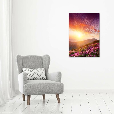 Acrylic print Spring in the mountains