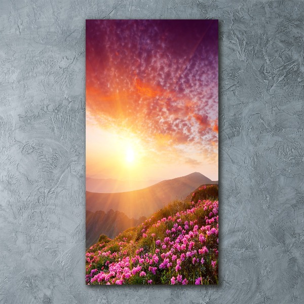 Acrylic print Spring in the mountains