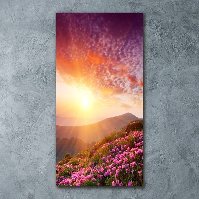 Acrylic print Spring in the mountains