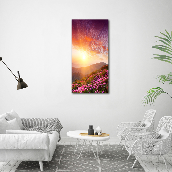 Acrylic print Spring in the mountains