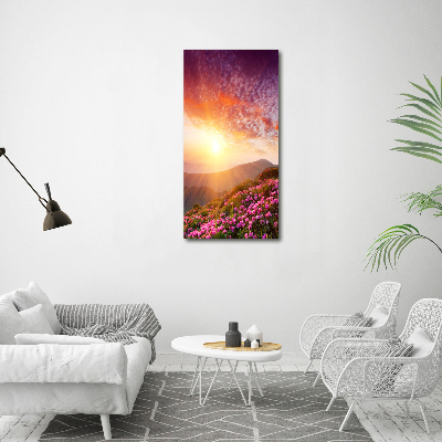 Acrylic print Spring in the mountains