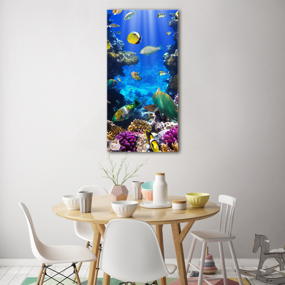 Print on acrylic Coral reef