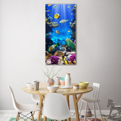 Print on acrylic Coral reef