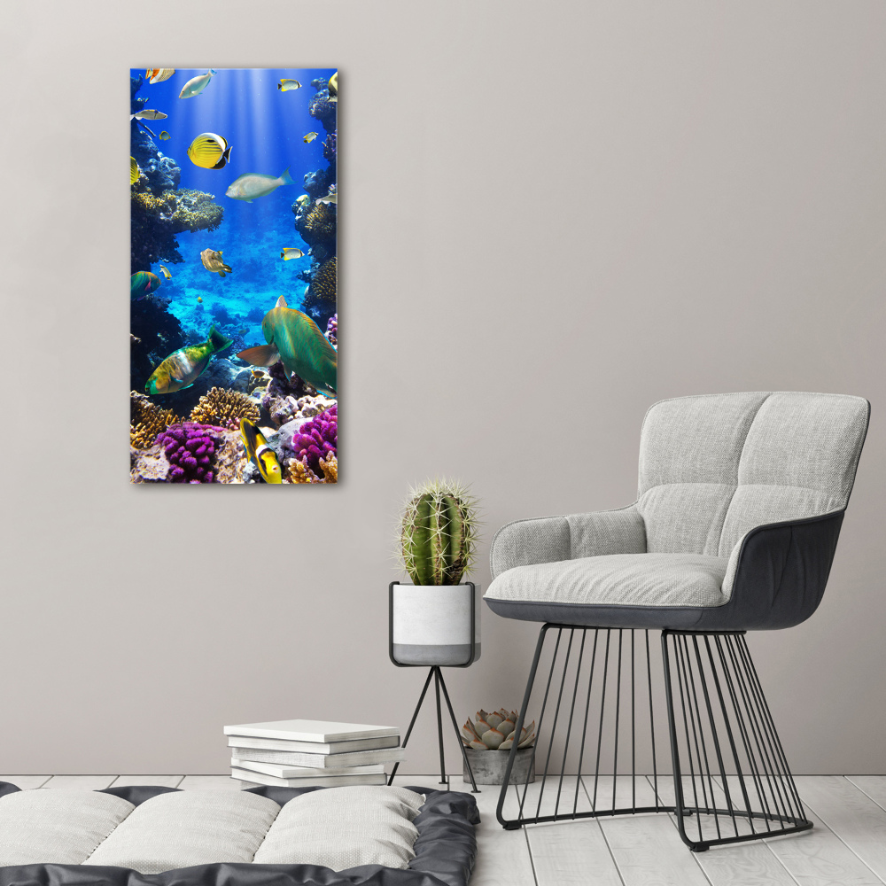 Print on acrylic Coral reef