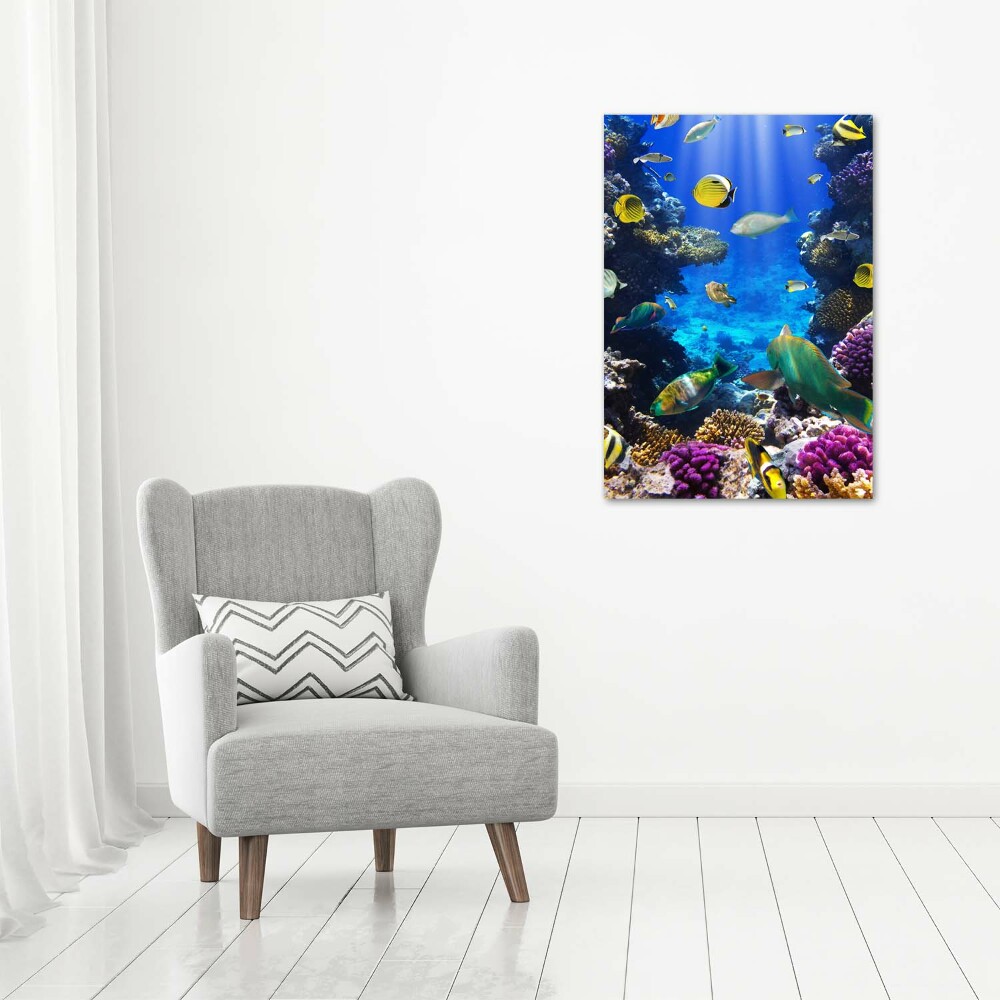 Print on acrylic Coral reef