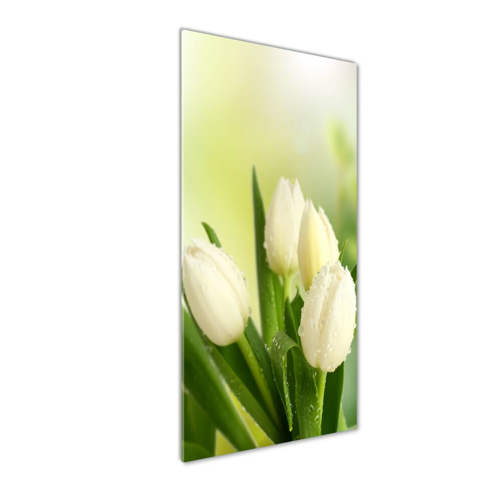 Acrylic wall art White tulips