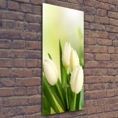 Acrylic wall art White tulips