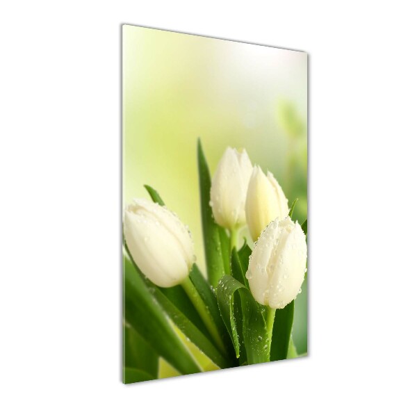 Acrylic wall art White tulips