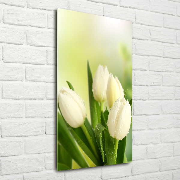 Acrylic wall art White tulips