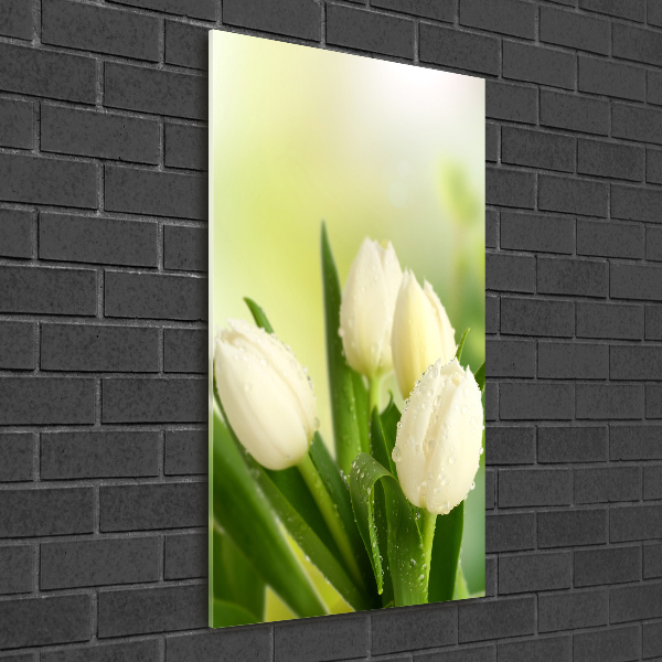 Acrylic wall art White tulips