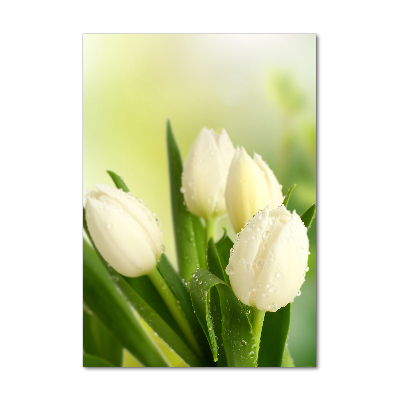 Acrylic wall art White tulips