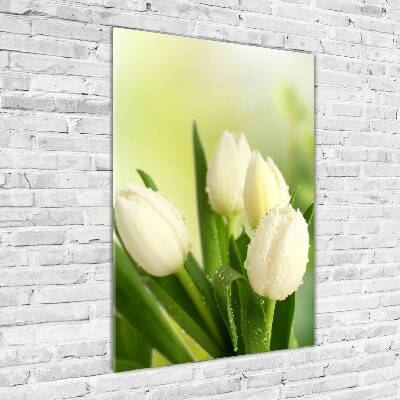 Acrylic wall art White tulips