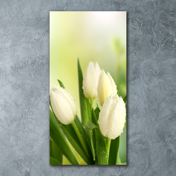 Acrylic wall art White tulips