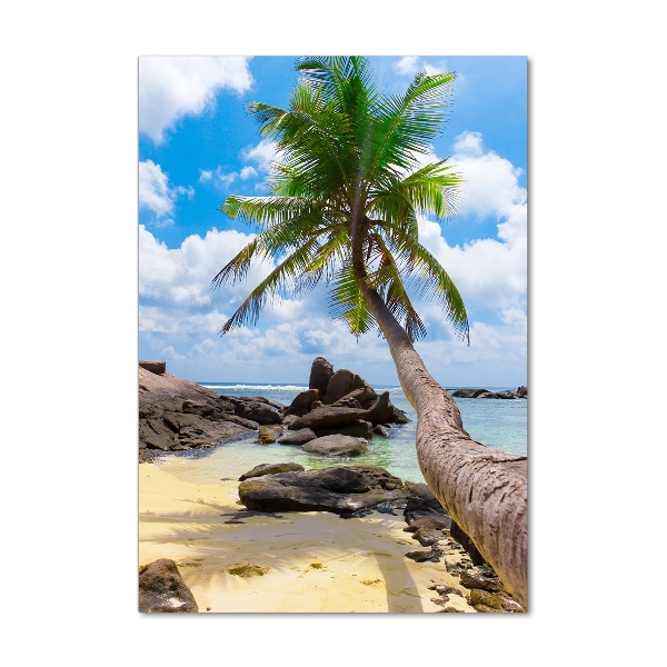 Print on acrylic Tropical beach