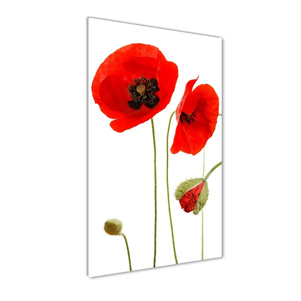 Print on acrylic Field poppies