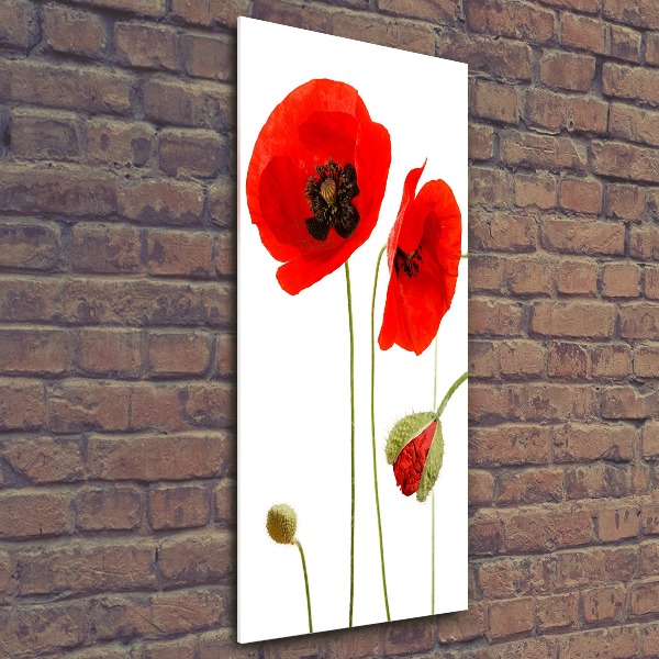 Print on acrylic Field poppies