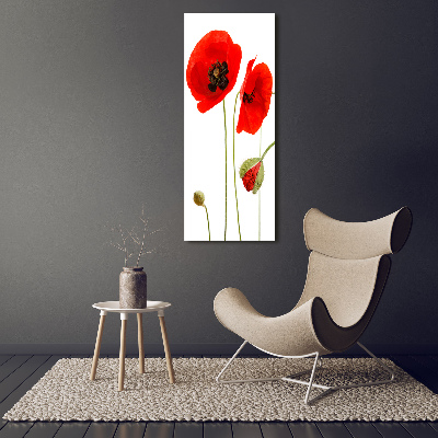 Print on acrylic Field poppies