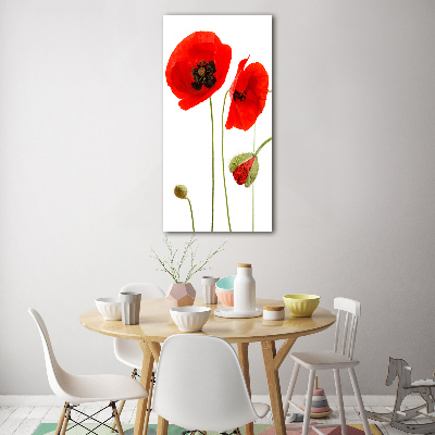 Print on acrylic Field poppies