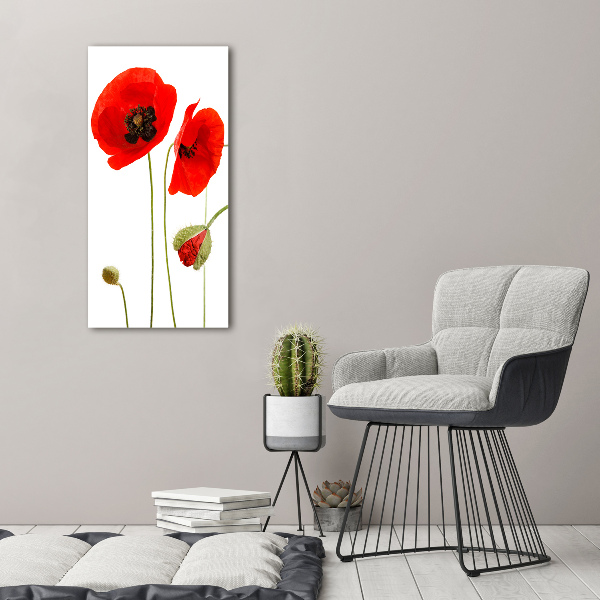 Print on acrylic Field poppies