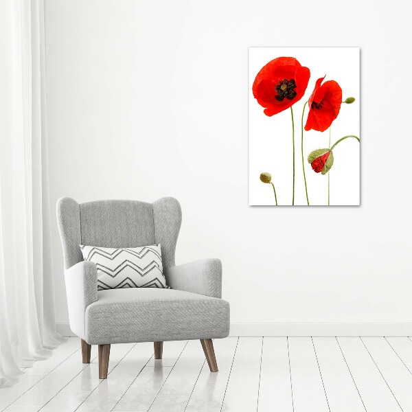 Print on acrylic Field poppies