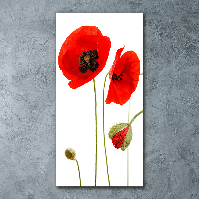 Print on acrylic Field poppies