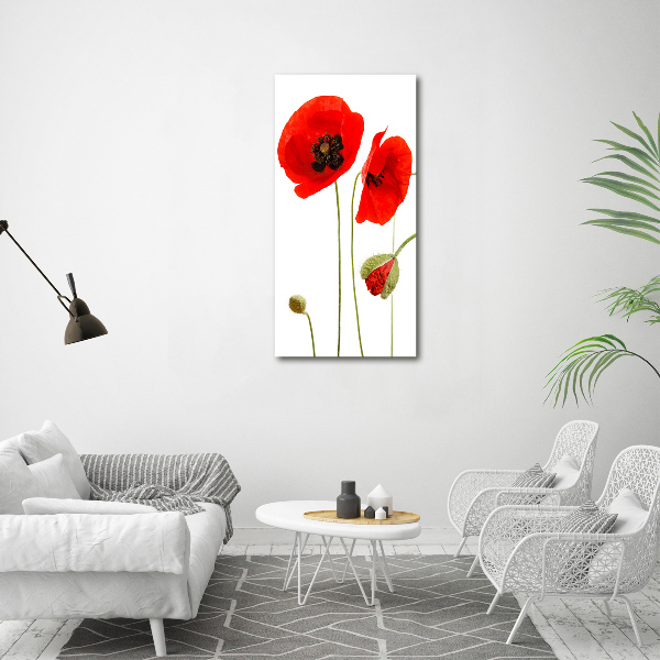 Print on acrylic Field poppies